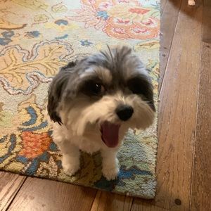 Meet your Posher, Natalie